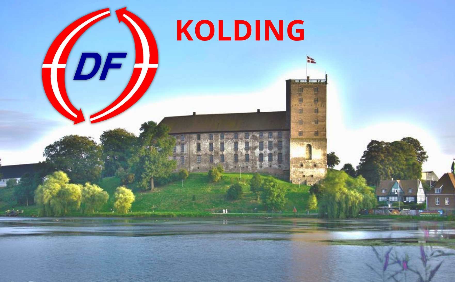 Dansk Folkeparti image